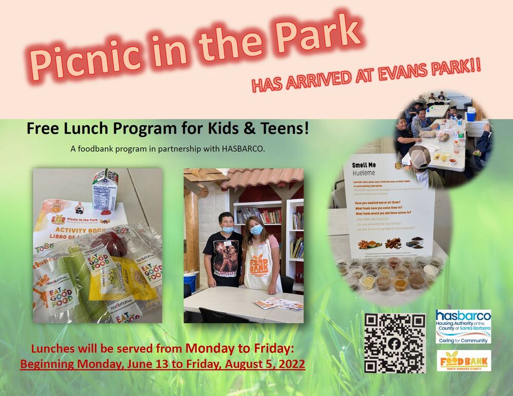 Picnic in the Park - Free Lunch Program flyer (all info below flyer)