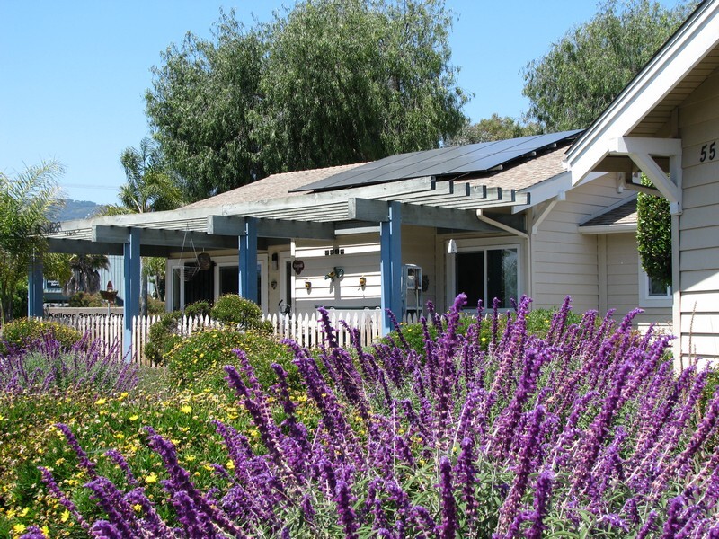 Colorful flowers sit in the foreground while one of the L.C. Grossman Homes sits against a sunny sky.