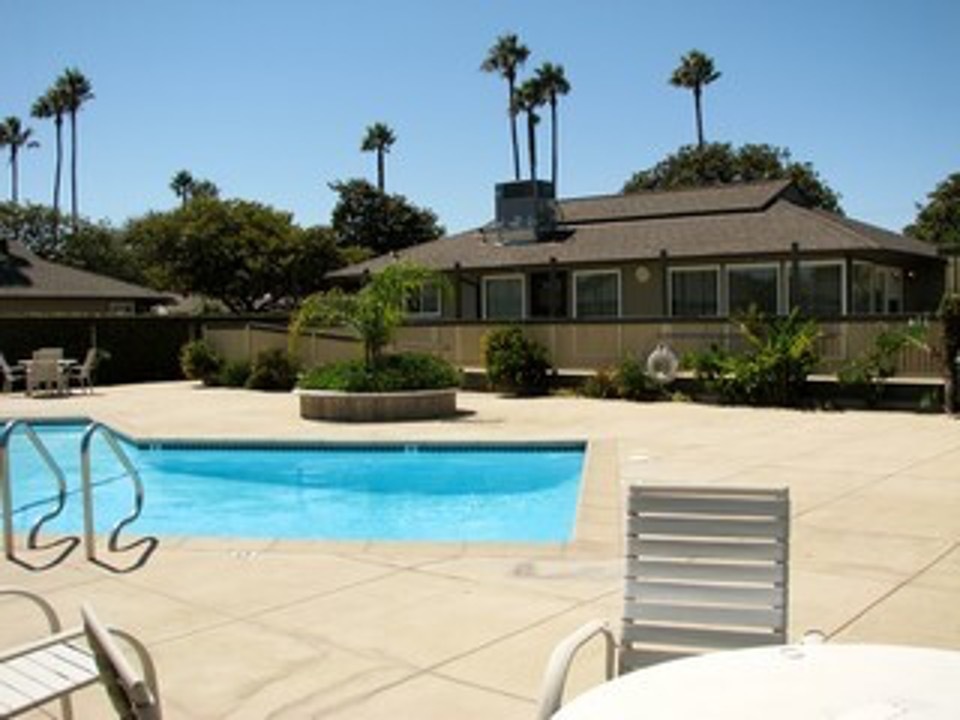 A clean, sparkling pool sits between 2 buildings at Palm Grove apartments.